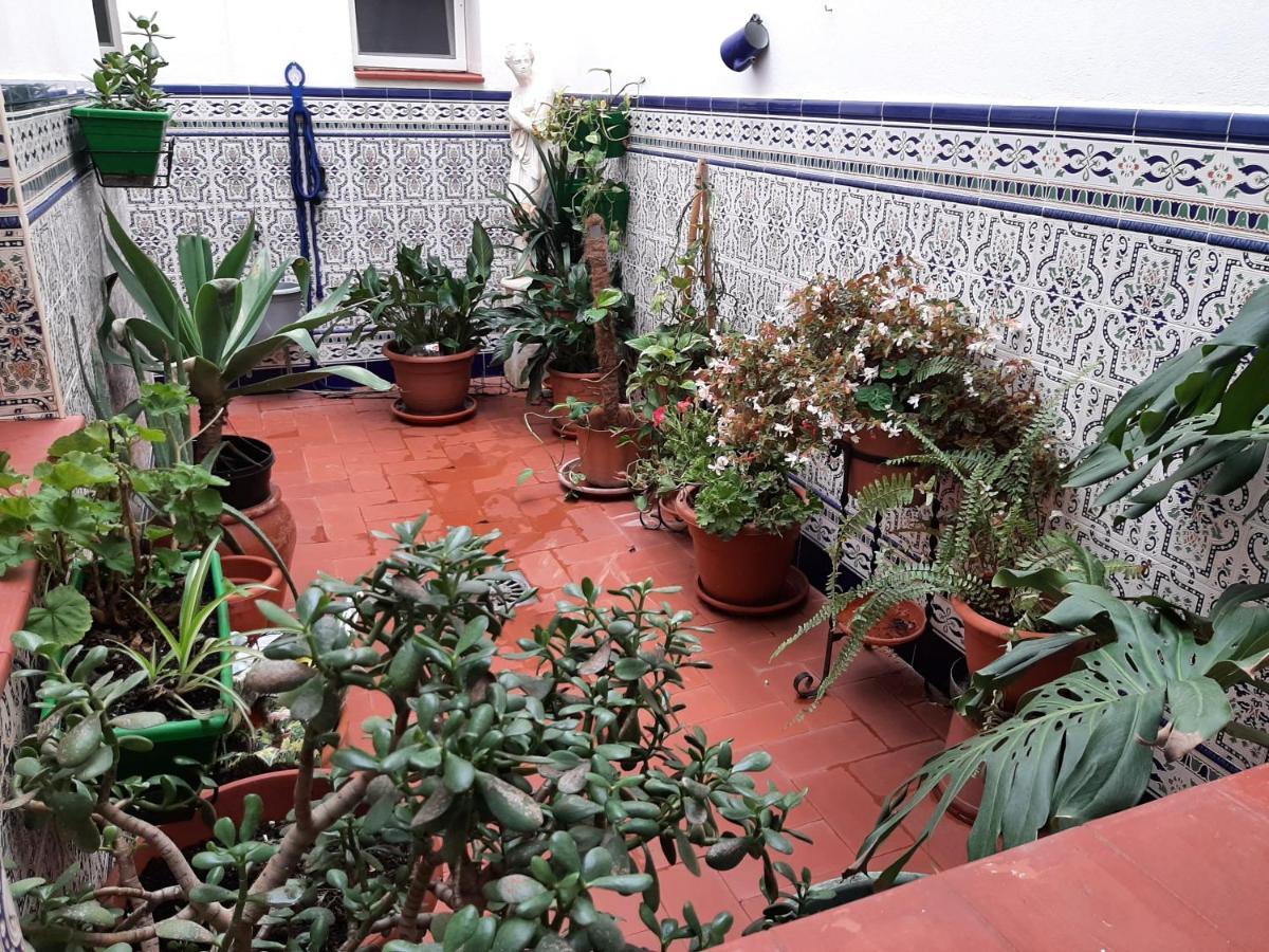 Sotel Valle Guadiaro بويبلو نويفو دي غواديارو المظهر الخارجي الصورة